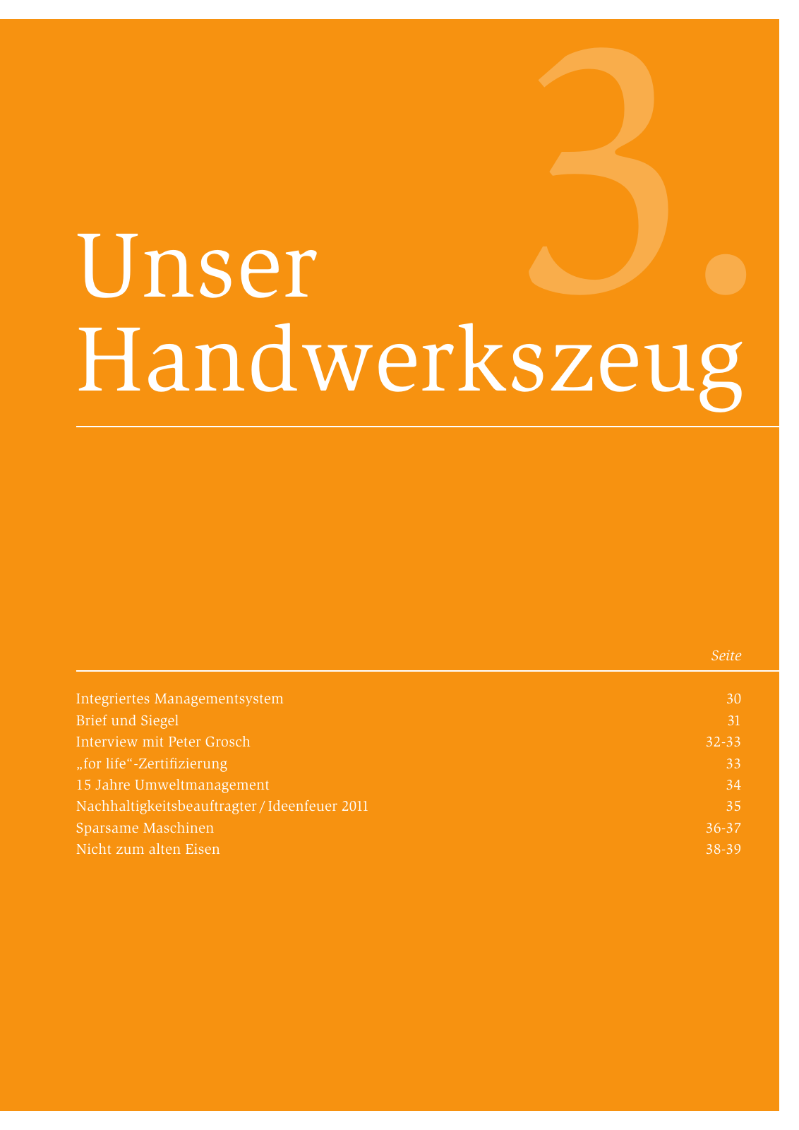 Vorschau Nachhaltigkeitsbericht 2013 Seite 33