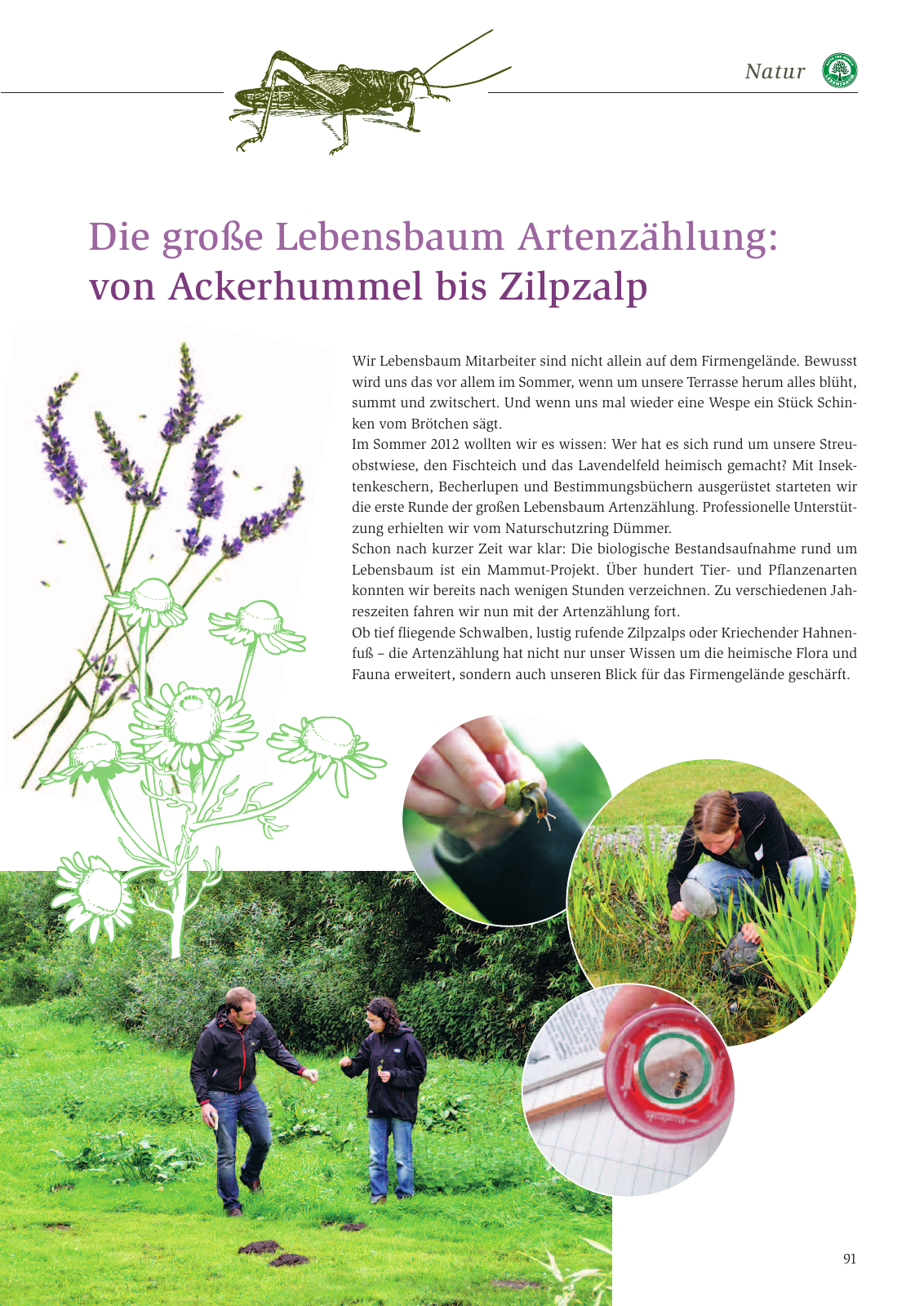 Vorschau Nachhaltigkeitsbericht 2013 Seite 95