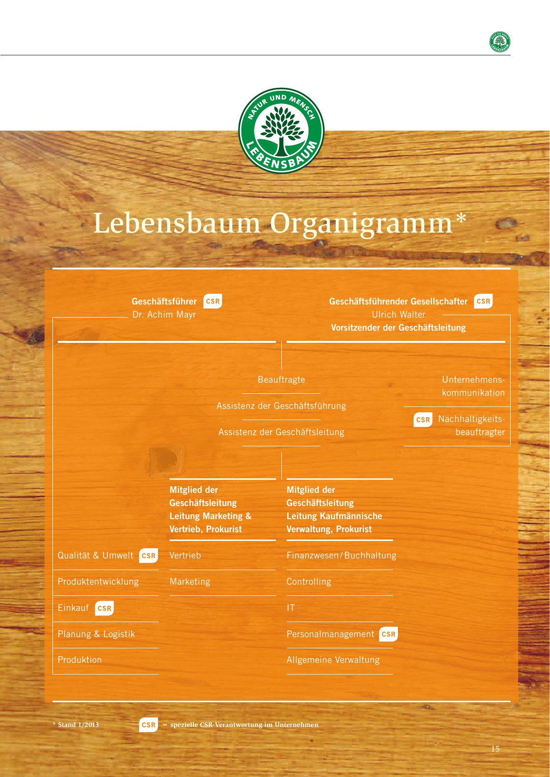Vorschau Nachhaltigkeitsbericht 2013 Seite 19