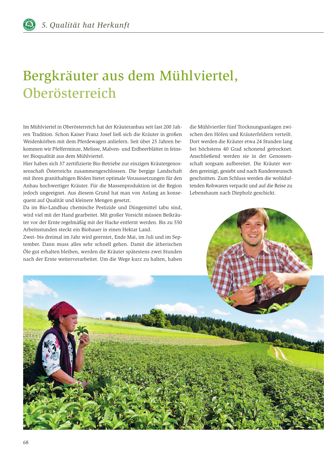 Vorschau Nachhaltigkeitsbericht 2013 Seite 72