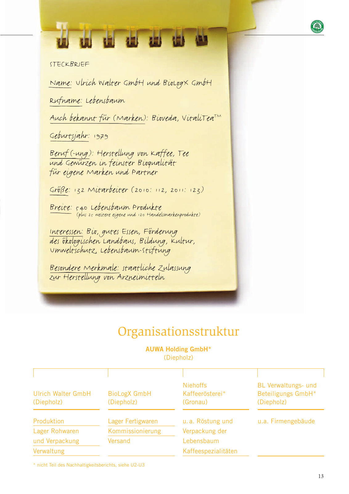 Vorschau Nachhaltigkeitsbericht 2013 Seite 17