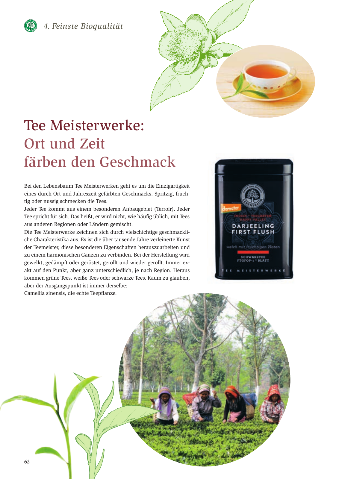 Vorschau Nachhaltigkeitsbericht 2016 Seite 66