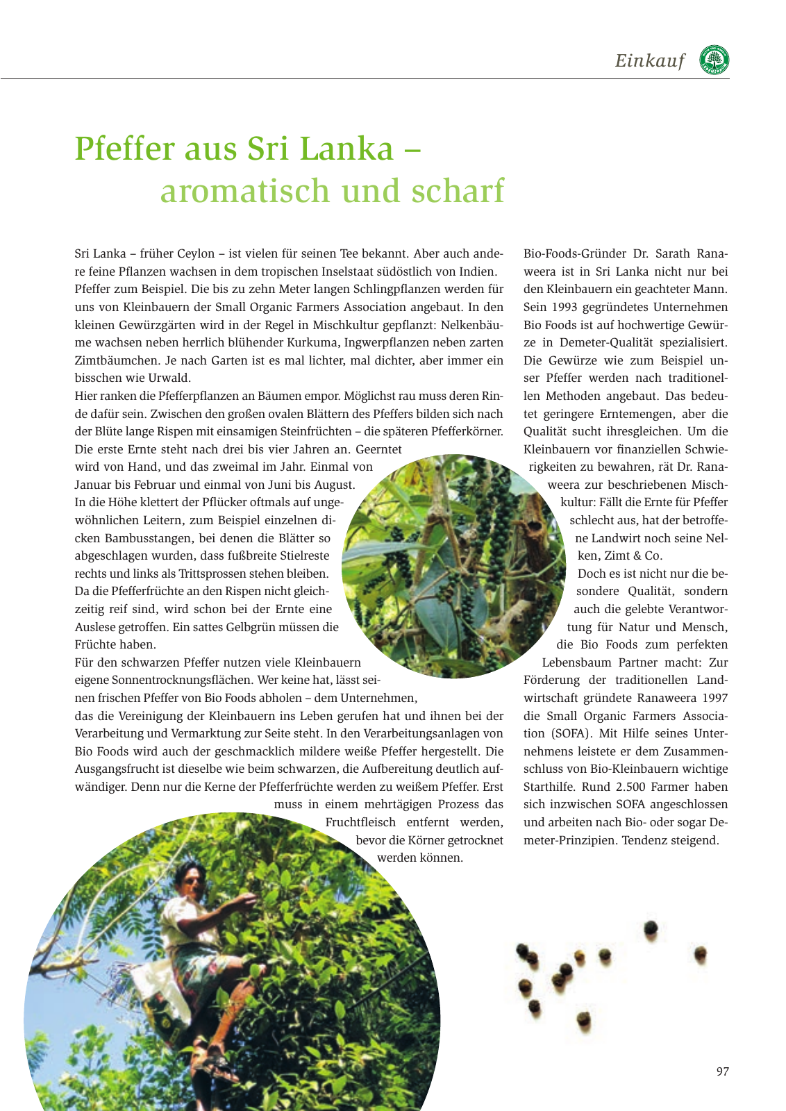 Vorschau Nachhaltigkeitsbericht 2016 Seite 101